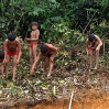 Wochenlang halfen die Yanomami-Frauen aus den Nachbardörfern beim Vorbereiten des Bauplatzes kräftig mit.