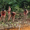 For many weeks, Yanomami women from neighboring villages helped vigorously with the preparation of the building site.