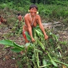 Roxana removes stubborn plants and roots from the soil.