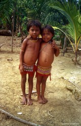 Yanomami children