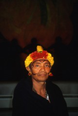 Yanomami chief Joao Davi Maraxi of Papiu