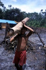 Prinzip und Bedingung der Arbeit vor Ort ist es, dass die Yanomami von Anfang an mithelfen. Durch die Einbindung der Indianer, empfinden diese das Projekt als ihr eigenes und fühlen sich auch für die Pflege und den Erhalt der Krankenstation verantwortlich.