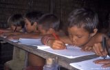 Los pequeños yanomami aprenden en la escuela a leer y a escribir.