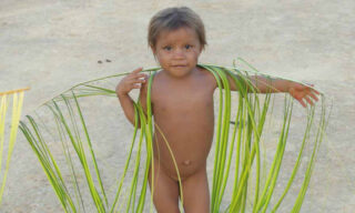 Même les plus petits dansent avec leurs feuilles de palmier lors des festivals