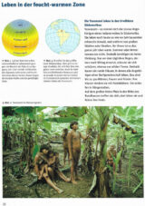 Leben in der feucht-warmen Zone