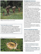 Was ist eigentlich ein "Urwald"?