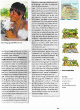 Brandrodungs- und Wanderfeldbau